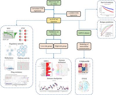 A Novel Intercellular Communication-Associated Gene Signature for Prognostic Prediction and Clinical Value in Patients With Lung Adenocarcinoma